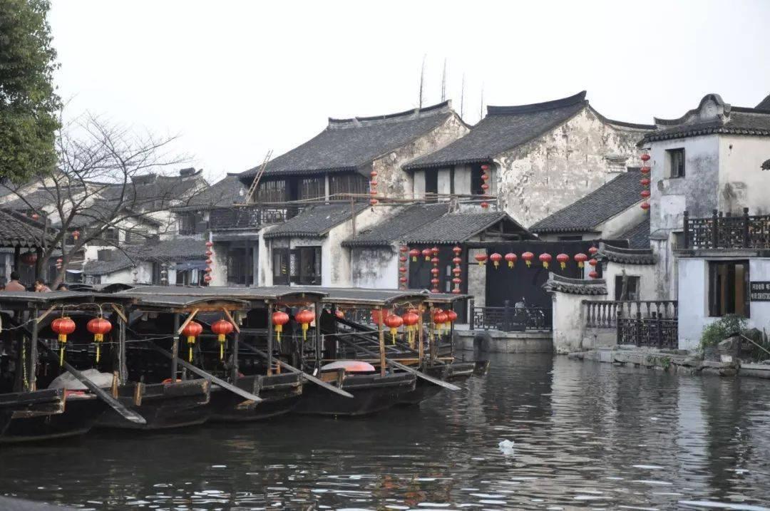 逃出猫头鹰岛